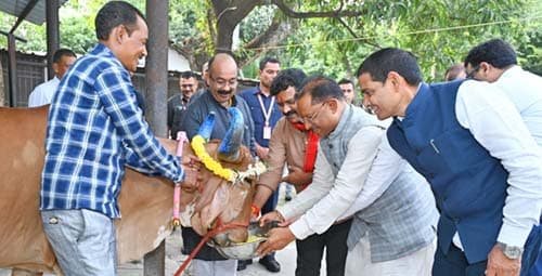 मुख्यमंत्री विष्णु देव साय ने गोवर्धन पूजा के अवसर पर की गौ वंश की पूजा-अर्चना