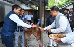 मुख्यमंत्री विष्णु देव साय ने गोवर्धन पूजा के अवसर पर की गौ वंश की पूजा-अर्चना – PRABHATTV.COM