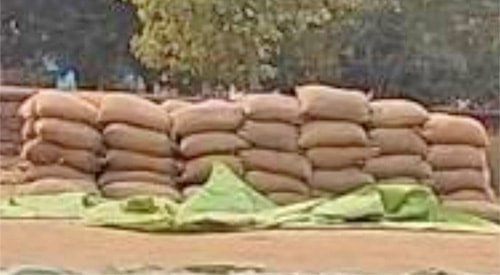 अवैध धान संग्रहण पर प्रशासन का कड़ा रुख: 270 कट्टा धान जप्त