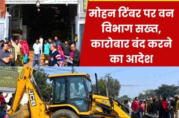 Bokaro Steel Plant: कब्जा करके चल रहा था मोहन टिंबर का कारोबार, वन विभाग का आदेश फौरन बंद करो कारोबार