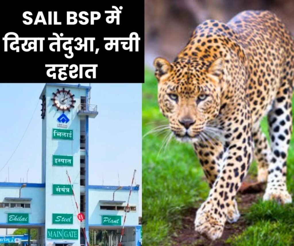 Breaking News: भिलाई स्टील प्लांट में दिखा तेंदुआ, दहशत में कर्मचारी