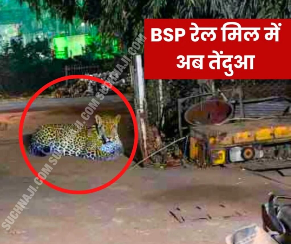 Breaking News: भिलाई स्टील प्लांट के रेल मिल में बैठा तेंदुआ, वन विभाग की घेराबंदी, मचा हड़कंप