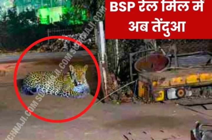 Breaking News: भिलाई स्टील प्लांट के रेल मिल में बैठा तेंदुआ, वन विभाग की घेराबंदी, मचा हड़कंप