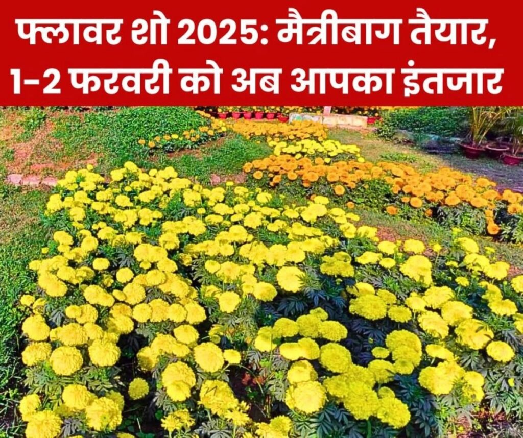 मैत्रीबाग फ्लॉवर शो का 2 दिन लूटिए मजा, देखिए गेंदे का जिराफ, महाकुंभ और पानी में फूलों की 3D रंगोली