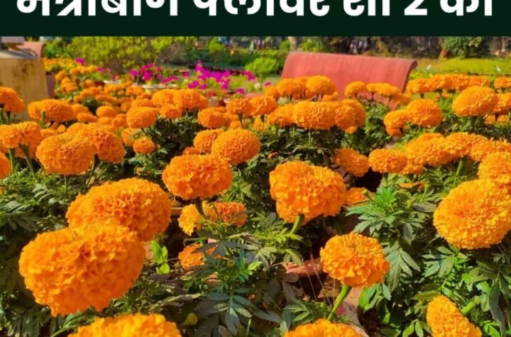 फ्लावर शो 2025: बीएसपी मैत्रीबाग में 2 फरवरी को दिखेगी फूलों की बहार, बनिए किंग और क्वीन ऑफ द शो