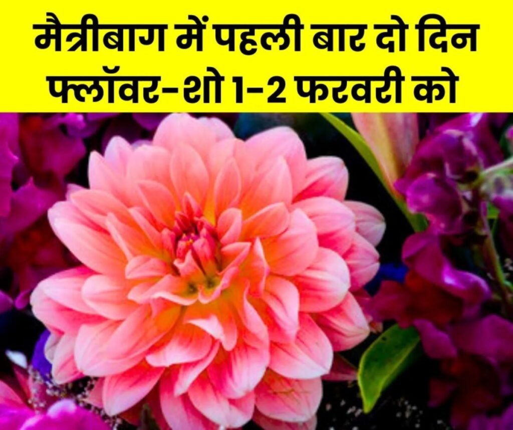 मैत्रीबाग के इतिहास में पहली बार दो दिन फ्लॉवर शो, परिवार संग आइए 1-2 फरवरी को