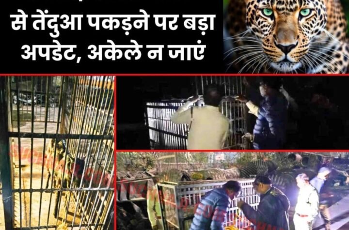 BSP से तेंदुआ पकड़ने केज में बांधी काली बकरी, सीसी टीवी कैमरे से नजर, अकेले न जाएं प्लांट में इधर