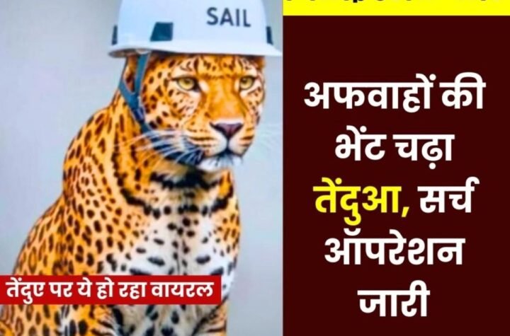 सो जा बेटा तेंदुआ आ जाएगा…भिलाई स्टील प्लांट में कहीं दुबका या गेट के बाहर गया तेंदुआ…?