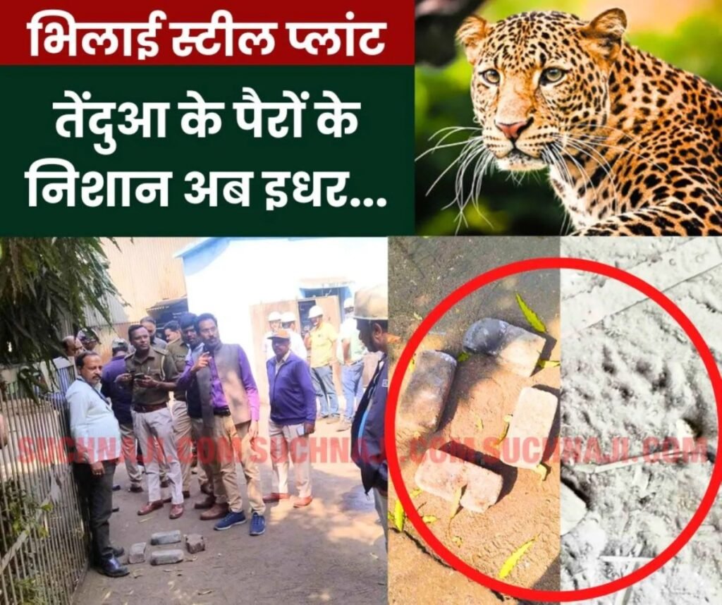 Big Breaking News: सावधान…BSP रेल मिल, मर्चेंट मिल, BRM, RCL, SMS-3 की तरफ तेंदुआ के पैरों के निशान
