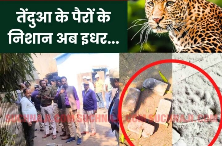 Big Breaking News: सावधान…BSP रेल मिल, मर्चेंट मिल, BRM, RCL, SMS-3 की तरफ तेंदुआ के पैरों के निशान