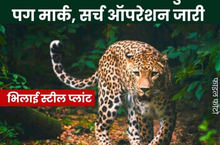 भिलाई स्टील प्लांट के वायर रॉड मिल में दिखे तेंदुए के पैरों के निशान, जंगल में घुसा है…