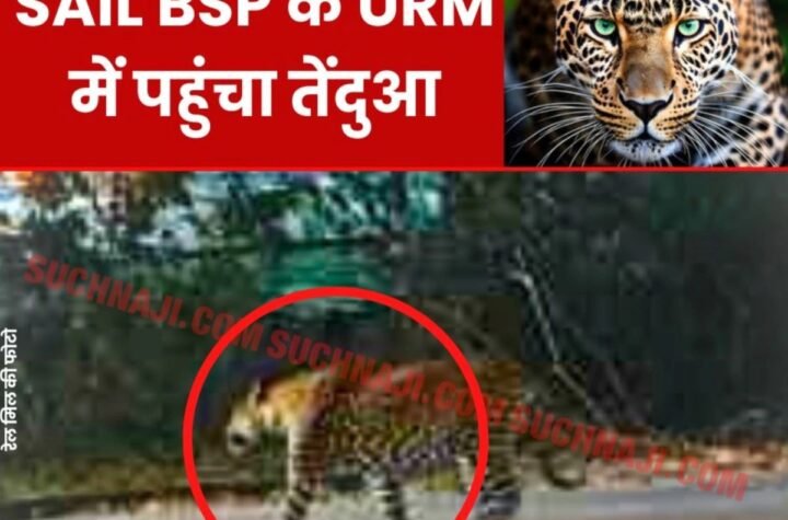 Bhilai Steel Plant में तेंदुआ का नया पता यूनिवर्सल रेल मिल, मचा हड़कंप