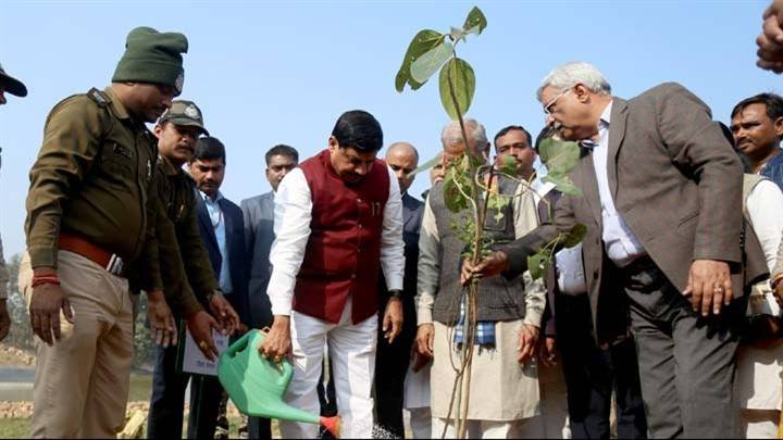 मुख्यमंत्री डॉ. मोहन यादव ने सतना के चित्रकूट के राम वन संस्कृति भवन में पौधरोपण किया।