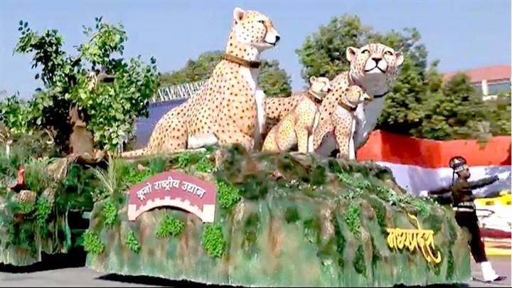 चीतों की ऐतिहासिक पुनर्स्थापना से हम गौरवान्वित हैं : मुख्यमंत्री डॉ. यादव