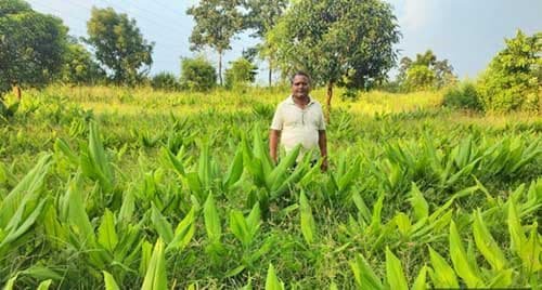 राष्ट्रीय बागवानी मिशन: किसानों के लिए नई संभावनाओं का द्वार
