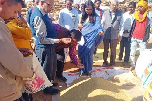 कलेक्टर ऋचा प्रकाश चौधरी ने धान संग्रहण केंद्रों का किया निरीक्षण, भंडारण प्रक्रिया में सुधार के निर्देश