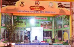 राजिम कुंभ मेला में कोसा की प्रदर्शनी आकर्षण का केन्द्र
