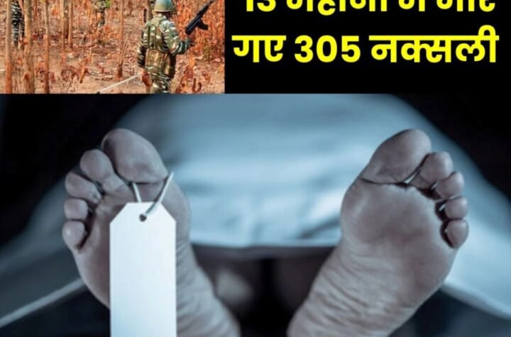 छत्तीसगढ़ में 13 महीनों में मारे गए 305 नक्सली, 1177 गिरफ्तार, 985 का आत्मसमर्पण