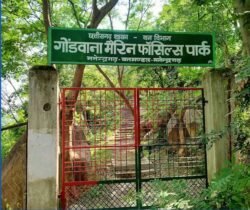 छत्तीसगढ़ का अनमोल खजाना – PRABHATTV.COM
