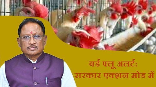 रायगढ़ में बर्ड फ्लू की पुष्टि, प्रशासन अलर्ट
