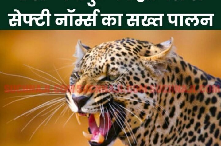 तेंदुए ने करा दिया भिलाई स्टील प्लांट में सेफ्टी नॉर्म्स का पालन