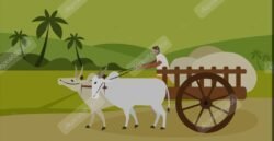 छत्तीसगढ़ के किसान की अनोखी तरकीब, कम मेहनत में ज्यादा कमाई!