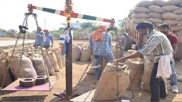 धान खरीदी का अंतिम दिन, 31 जनवरी को देर रात तक चली धान की खरीदी,साल दर साल टूटा धान खरीदी का रिकार्ड